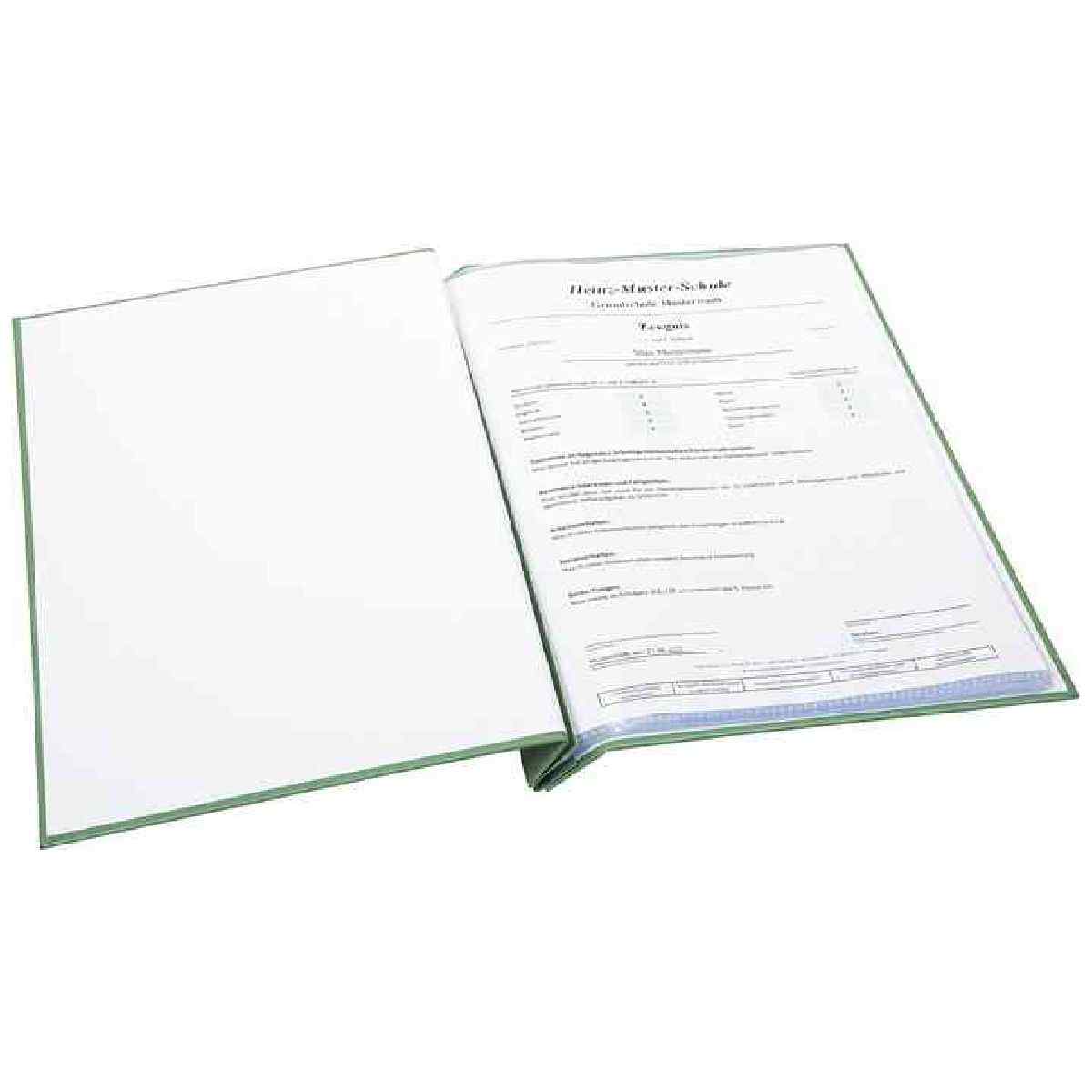 GOLDBUCH Zeugnismappe Schwungvoll 24x31cm incl. 12 Sichhüllen salbei