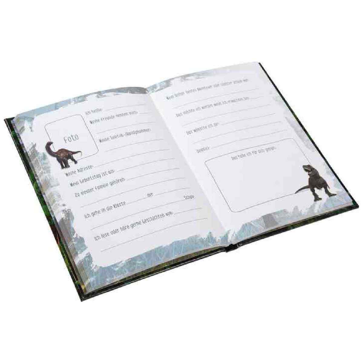 GOLDBUCH Kindergarten Freundebuch Vulkan 88 illustrierte Seiten