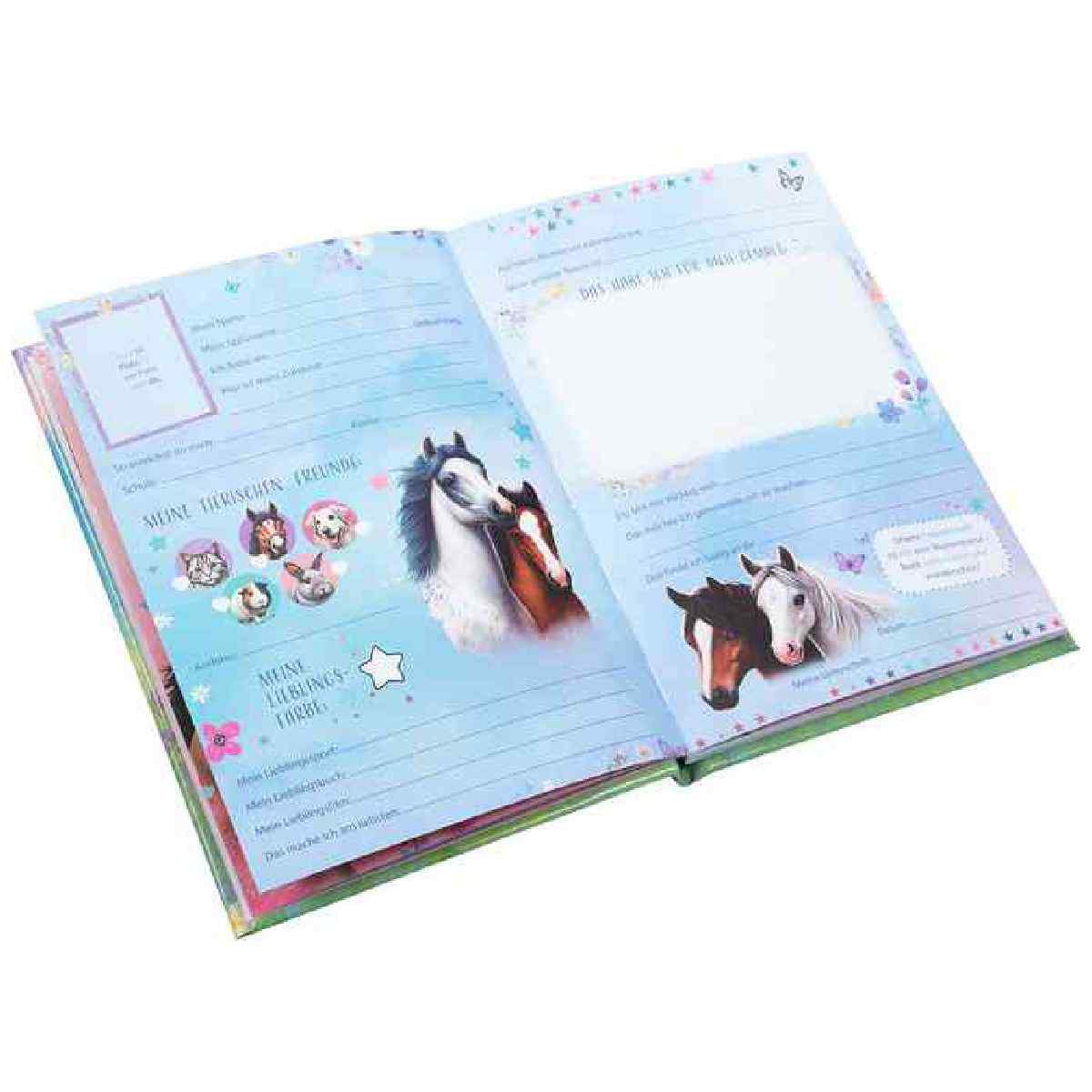 GOLDBUCH Kindergarten Freundebuch Wiesenglück 88 illustrierte Seiten