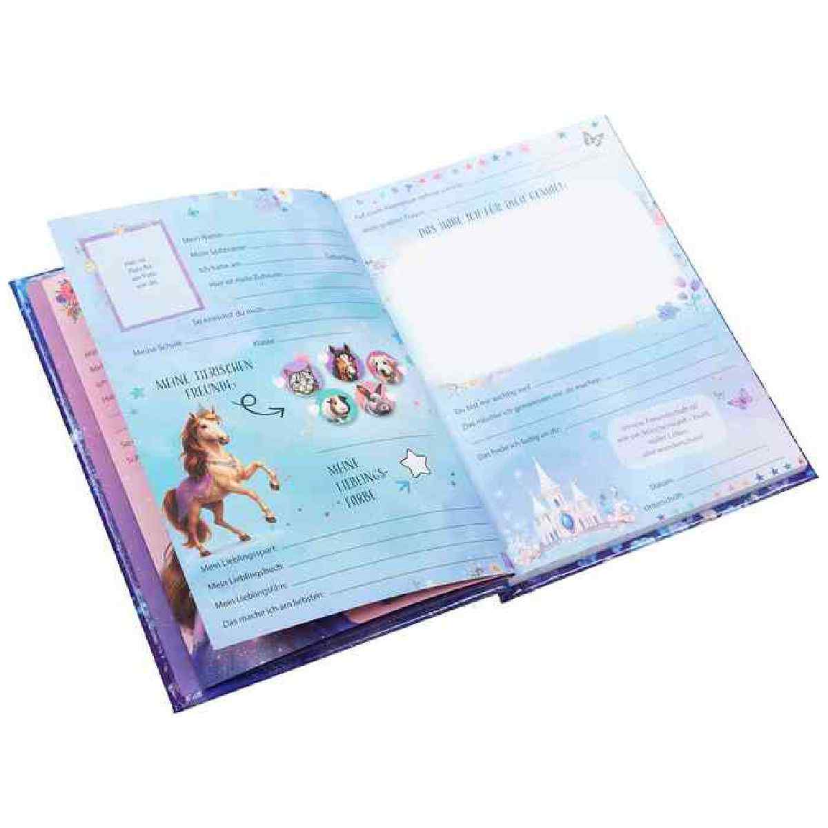 GOLDBUCH Kindergarten Freundebuch Prinzessin Sternenglanz 88 illustrierte Seiten