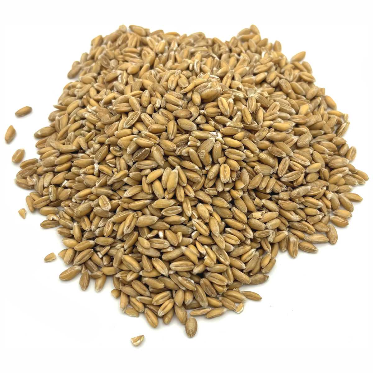 Füllgut Granulat Getreide für Mähdrescher BRUDER 02119 + 02132 + Förderband 02031 | 250g Dinkel