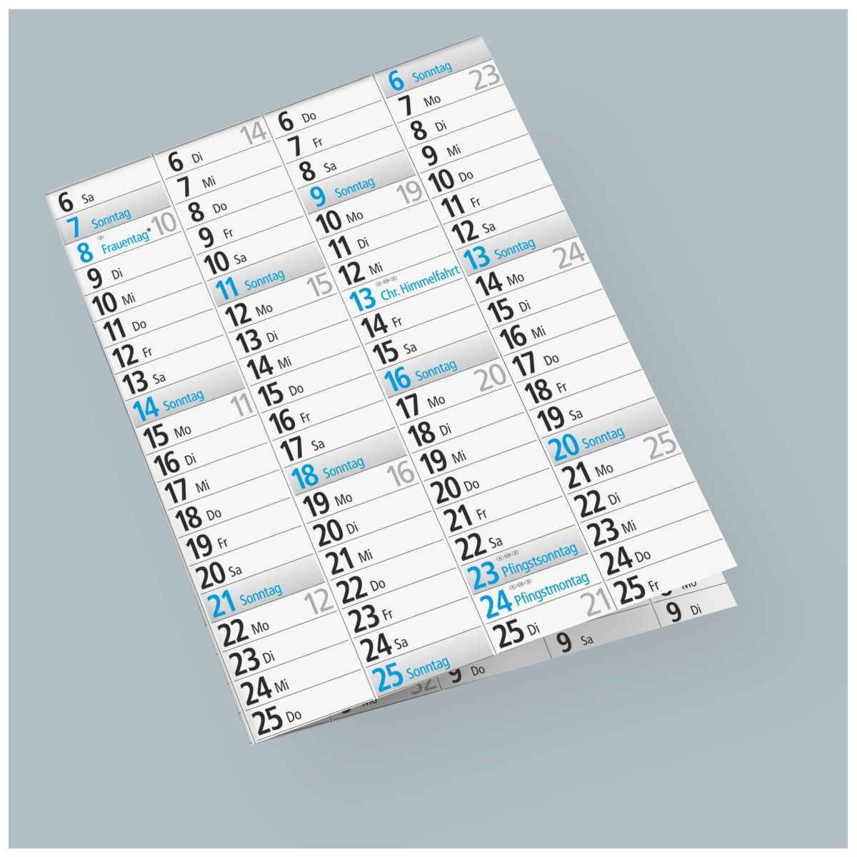 RIDO Plakatkalender 2027 1210×770 mm | 14 Monate