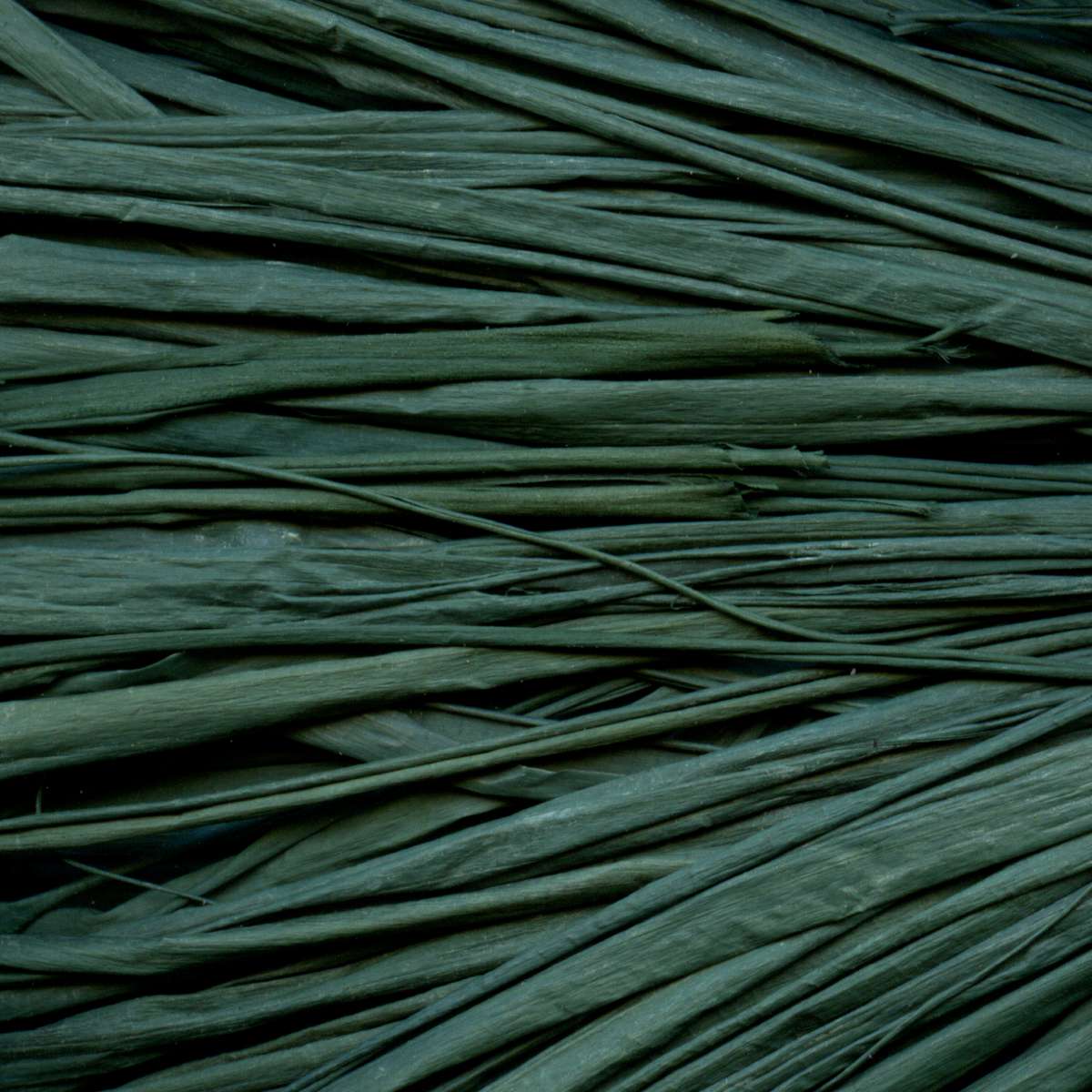 MAILDOR Raffia Naturbast 50g ca. 80-100cm französischgrün