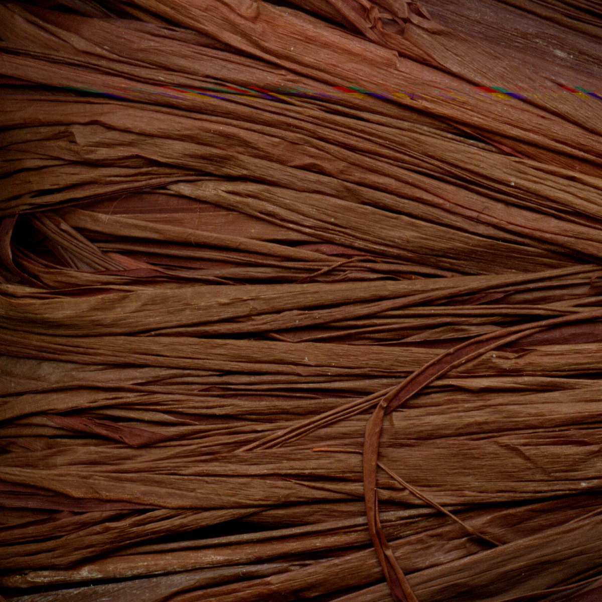 MAILDOR Raffia Naturbast 50g ca. 80-100cm coffee