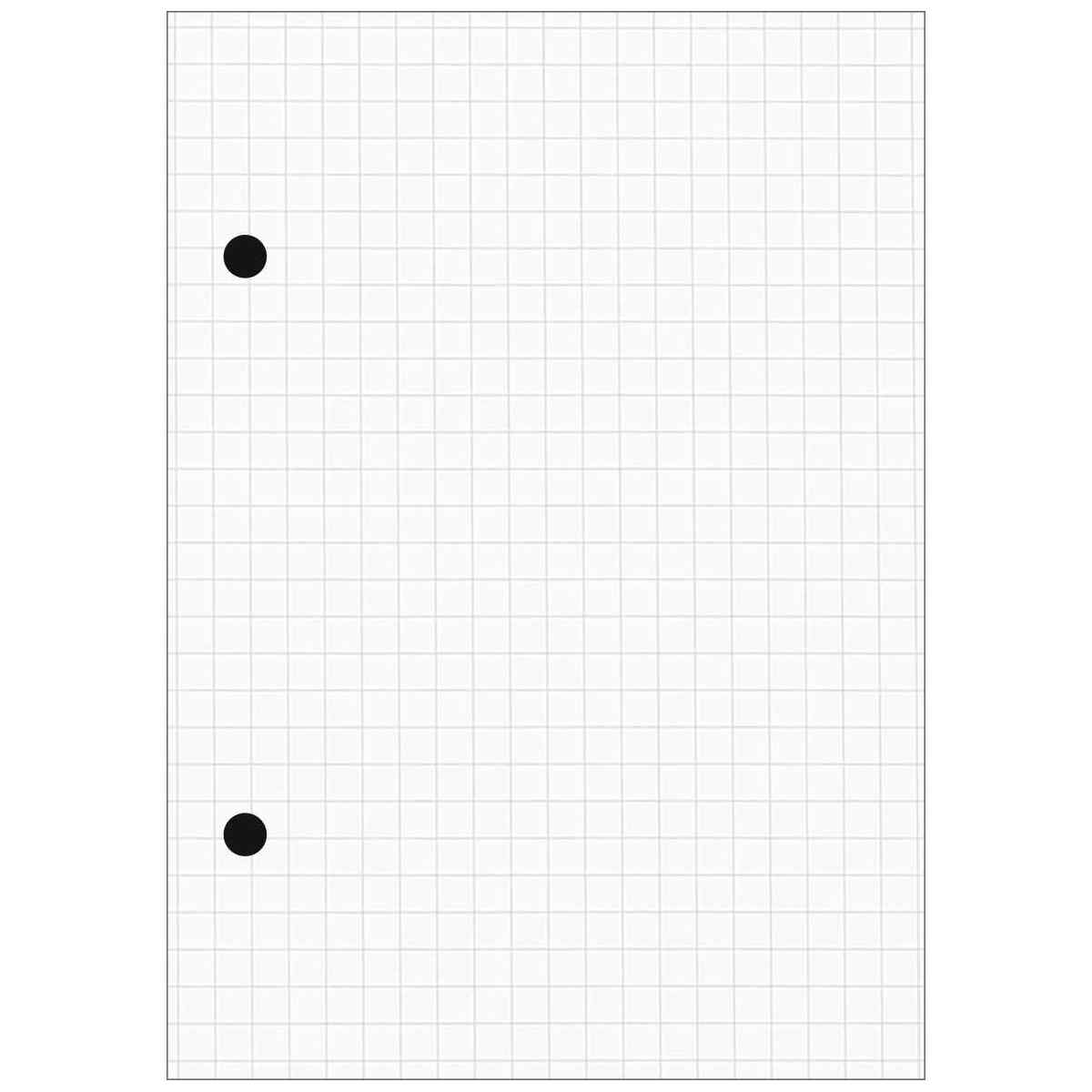 NEUTRALWARE Ringbucheinlage A6 100 Blatt kariert 2-fach gelocht