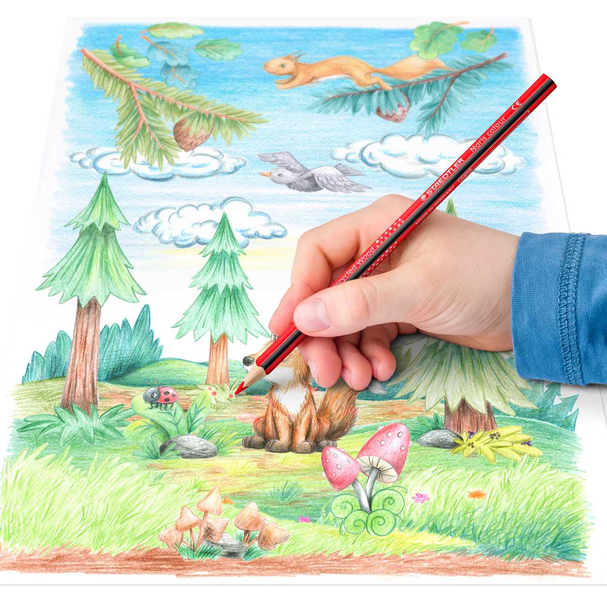 STAEDTLER Farbstifte Noris Color dreikant 6 Stück