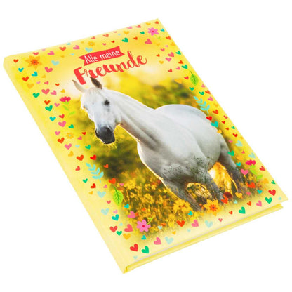 GOLDBUCH Freundebuch Chiara A5 88 illustrierte Seiten