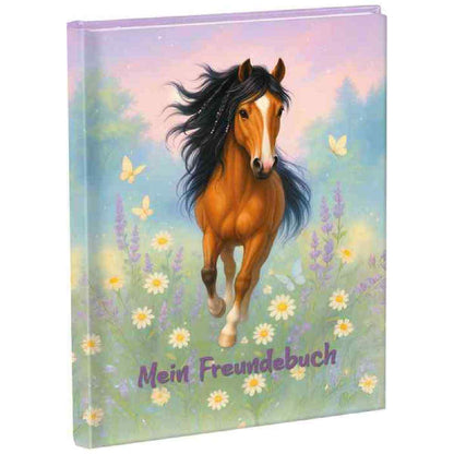 GOLDBUCH Kindergarten Freundebuch Wiesenglück 88 illustrierte Seiten
