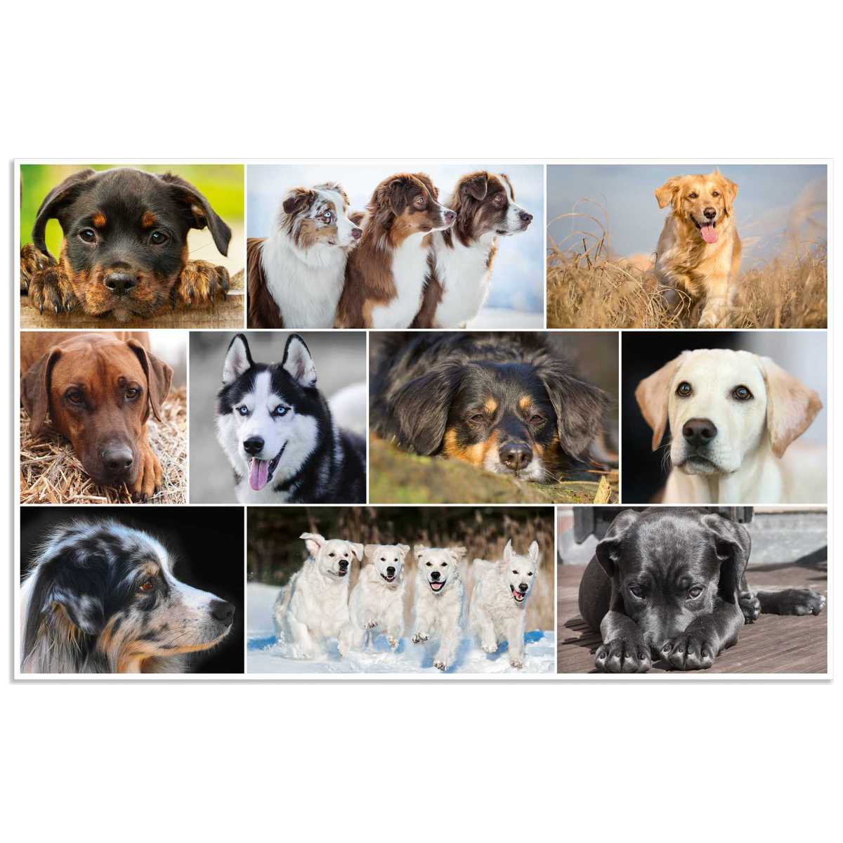 HERMA Schreibunterlage 55 x 35 cm Hunde