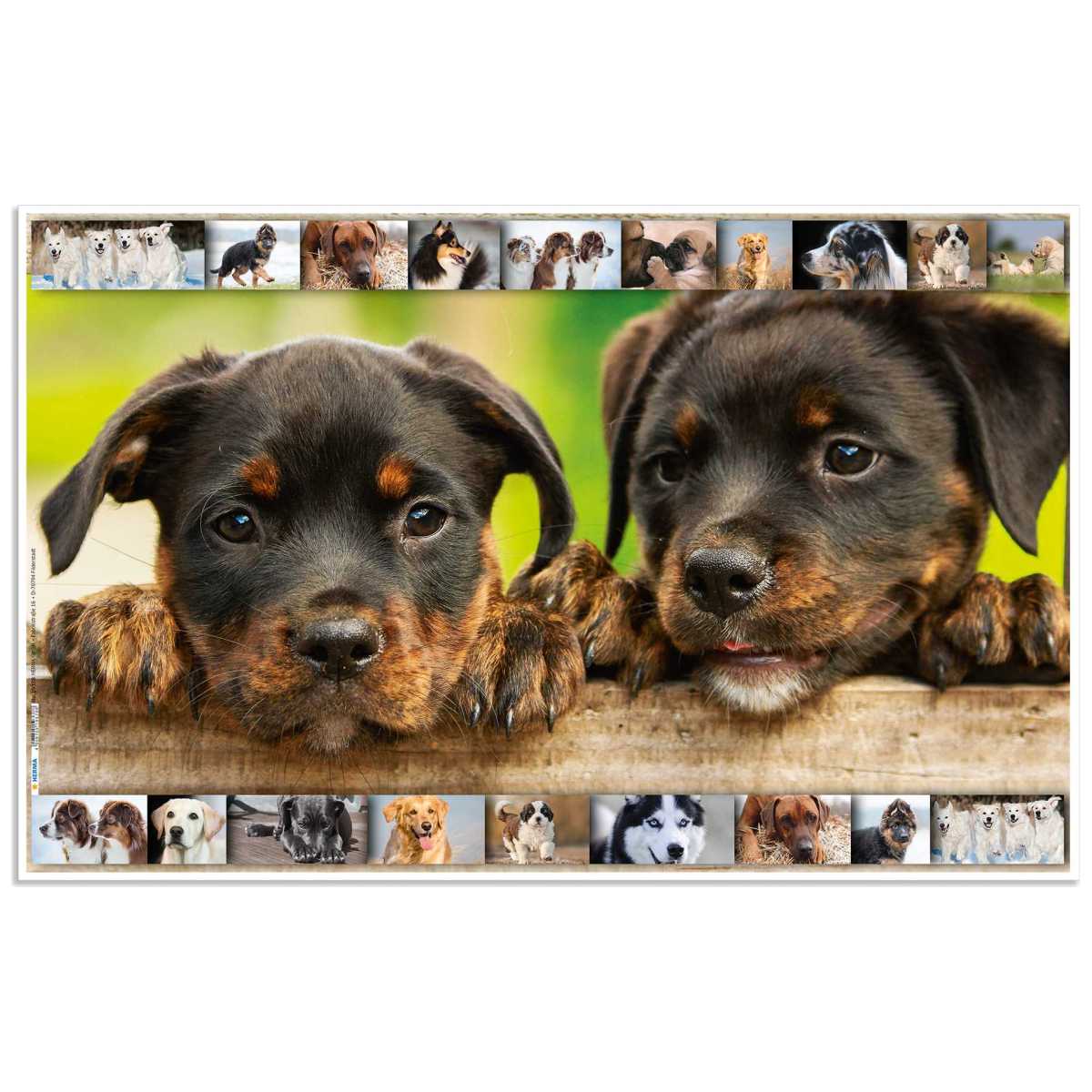 HERMA Schreibunterlage 55 x 35 cm Hunde
