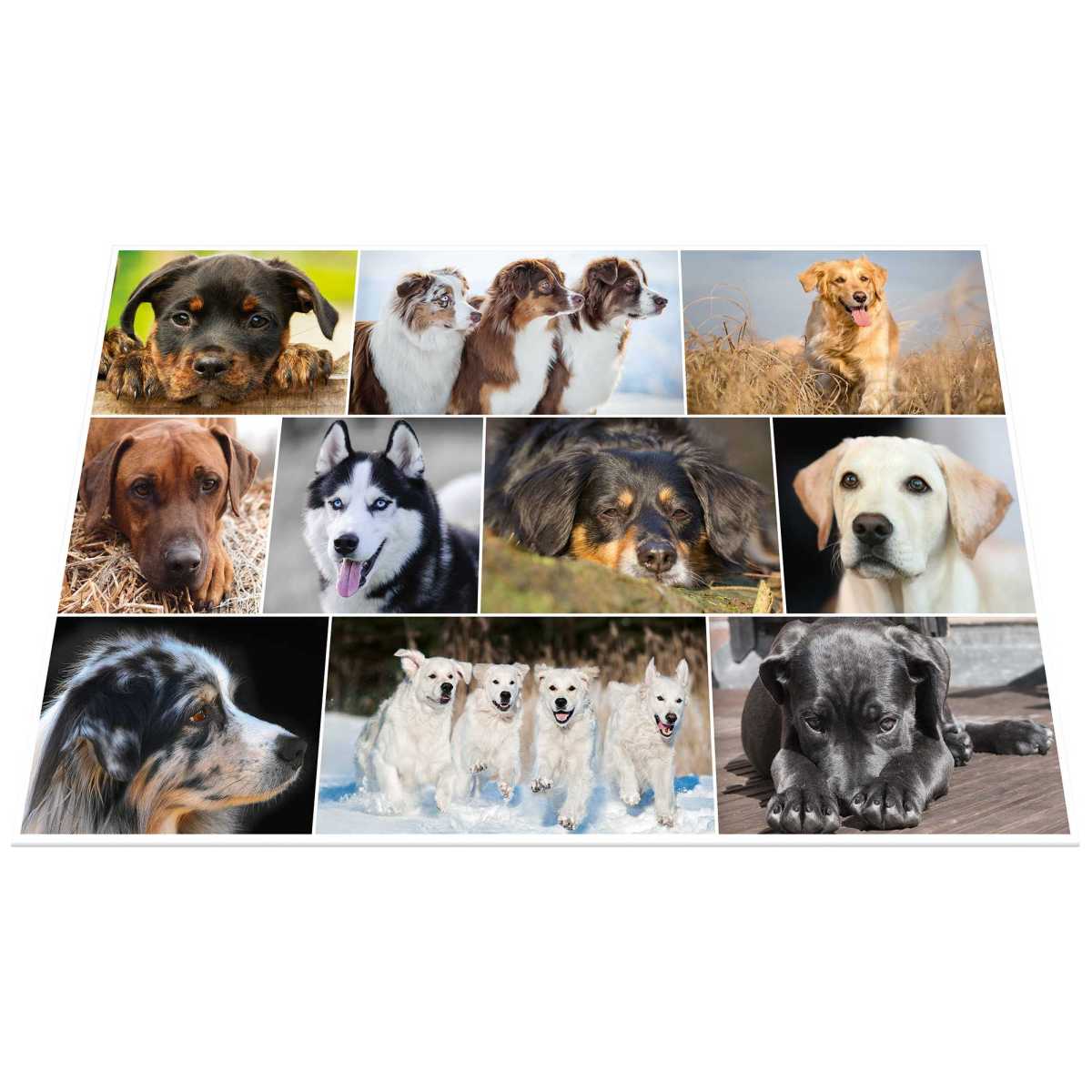 HERMA Schreibunterlage 55 x 35 cm Hunde