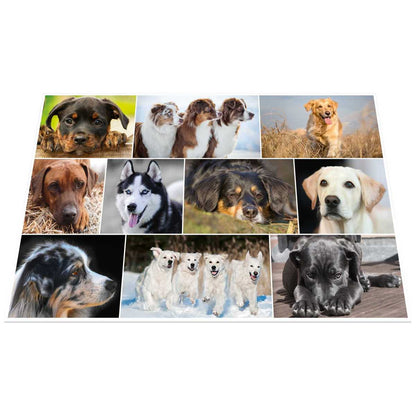 HERMA Schreibunterlage 55 x 35 cm Hunde
