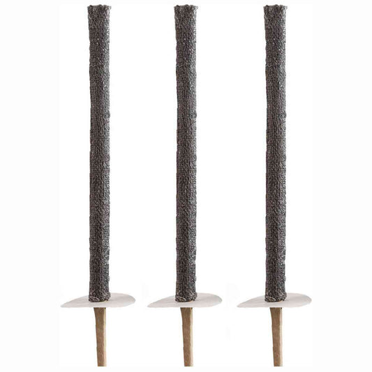 TIB Wachstuchfackeln 50cm mit Holzgr. 3 Stück ca. 45 Min
