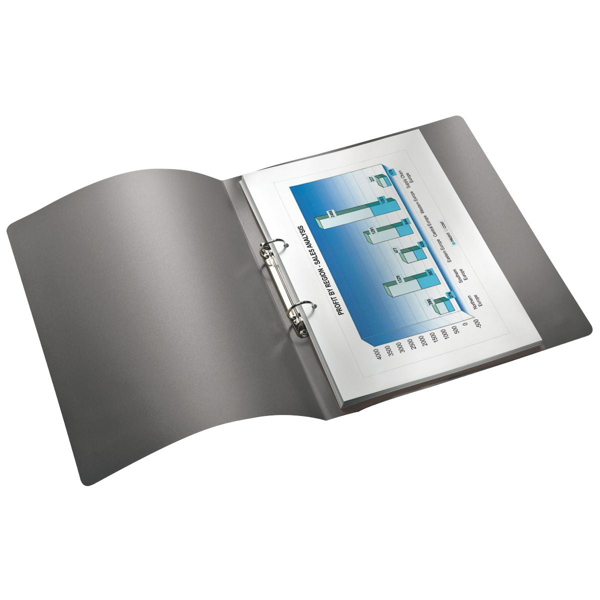 LEITZ Ringbuch Solid 456610 A4 PP 25mm 2-Ring hellgrün