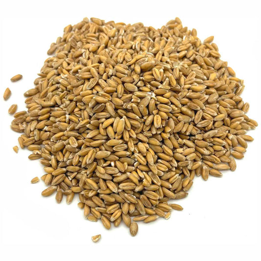 Füllgut Granulat Getreide für Mähdrescher BRUDER 02119 + 02132 + Förderband 02031 | 250g Dinkel