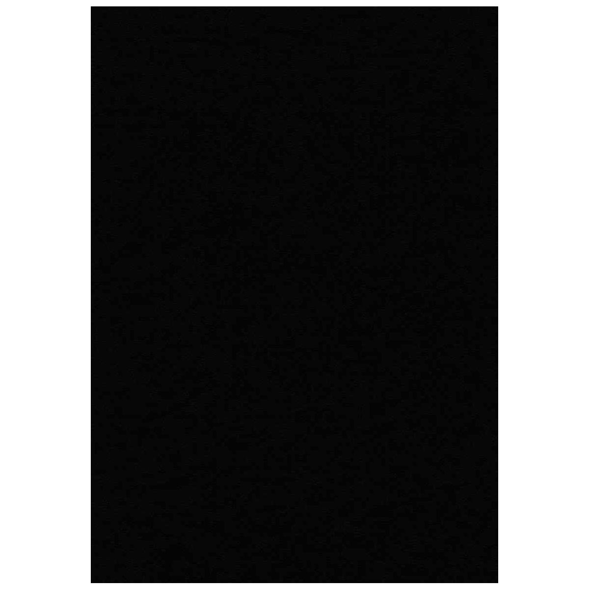 FOLIA Bastelfilz 30x45cm ca 3,5mm Schwarz