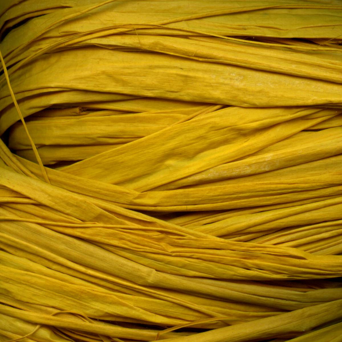 MAILDOR Raffia Naturbast 50g ca. 80-100cm gelb