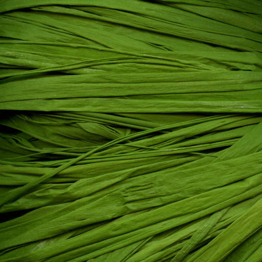 MAILDOR Raffia Naturbast 50g ca. 80-100cm hellgrün