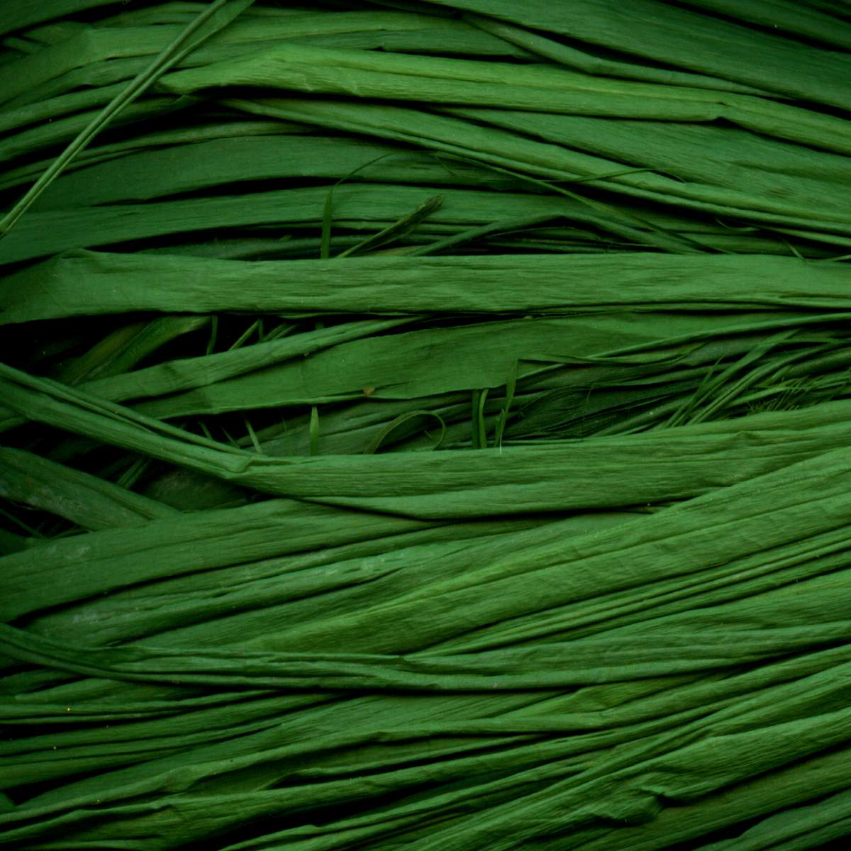 MAILDOR Raffia Naturbast 50g ca. 80-100cm grasgrün