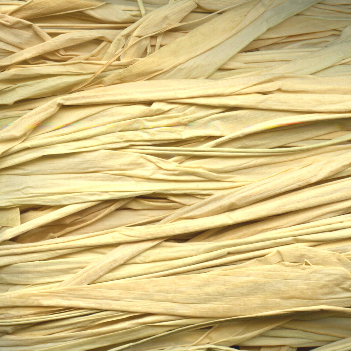 MAILDOR Raffia Naturbast 50g ca. 80-100cm natur